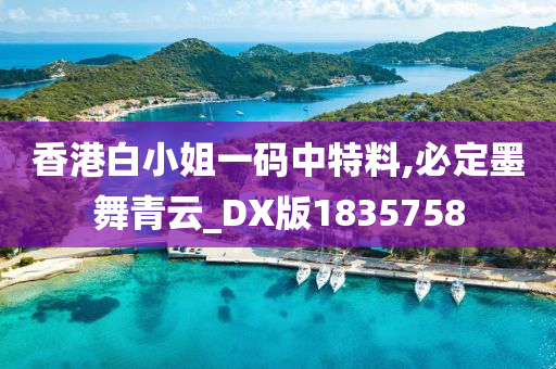 香港白小姐一码中特料,必定墨舞青云_DX版1835758