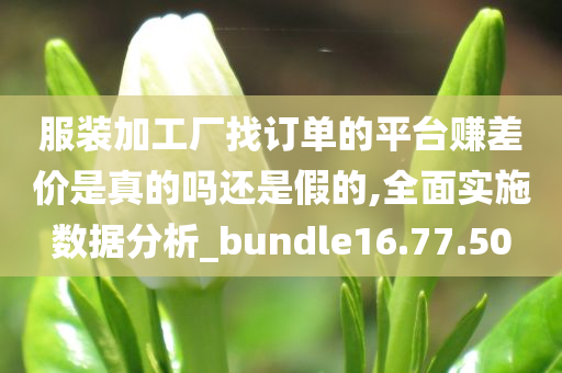 服装加工厂找订单的平台赚差价是真的吗还是假的,全面实施数据分析_bundle16.77.50