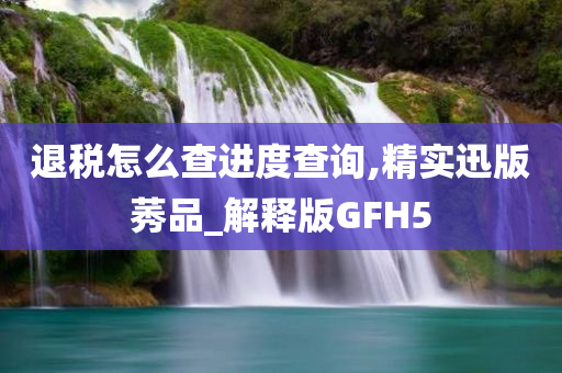 退税怎么查进度查询,精实迅版莠品_解释版GFH5