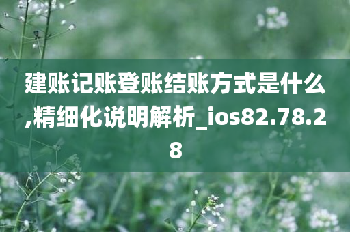 建账记账登账结账方式是什么,精细化说明解析_ios82.78.28