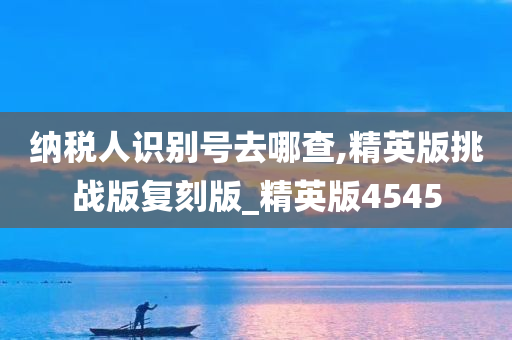 纳税人识别号去哪查,精英版挑战版复刻版_精英版4545