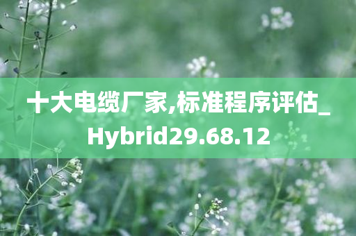 十大电缆厂家,标准程序评估_Hybrid29.68.12