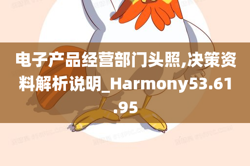 电子产品经营部门头照,决策资料解析说明_Harmony53.61.95