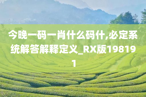 今晚一码一肖什么码什,必定系统解答解释定义_RX版198191