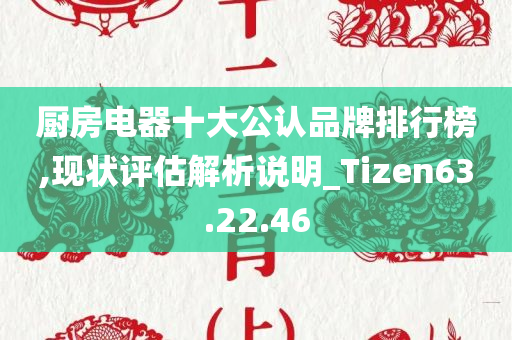 厨房电器十大公认品牌排行榜,现状评估解析说明_Tizen63.22.46