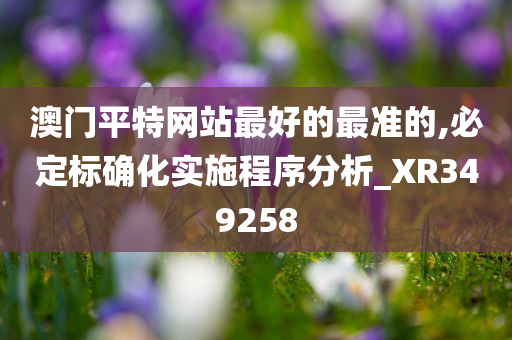 澳门平特网站最好的最准的,必定标确化实施程序分析_XR349258