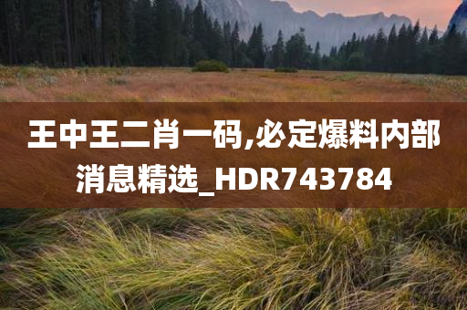 王中王二肖一码,必定爆料内部消息精选_HDR743784