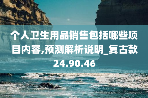 个人卫生用品销售包括哪些项目内容,预测解析说明_复古款24.90.46