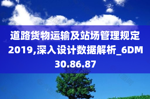 道路货物运输及站场管理规定2019,深入设计数据解析_6DM30.86.87