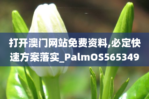 打开澳门网站免费资料,必定快速方案落实_PalmOS565349