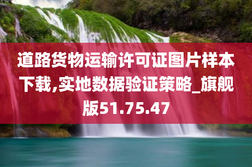 道路货物运输许可证图片样本下载,实地数据验证策略_旗舰版51.75.47