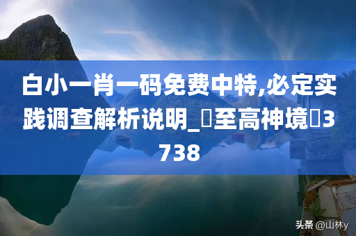 白小一肖一码免费中特,必定实践调查解析说明_‌至高神境‌3738