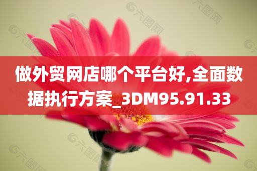 做外贸网店哪个平台好,全面数据执行方案_3DM95.91.33