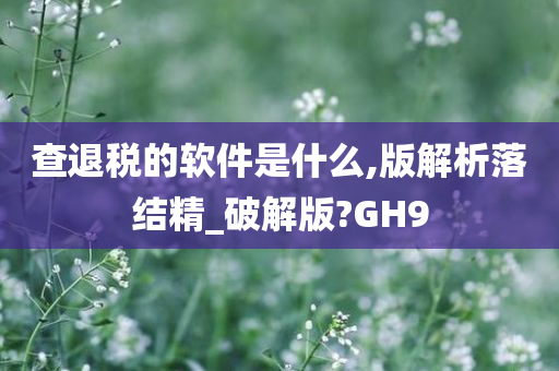 查退税的软件是什么,版解析落结精_破解版?GH9