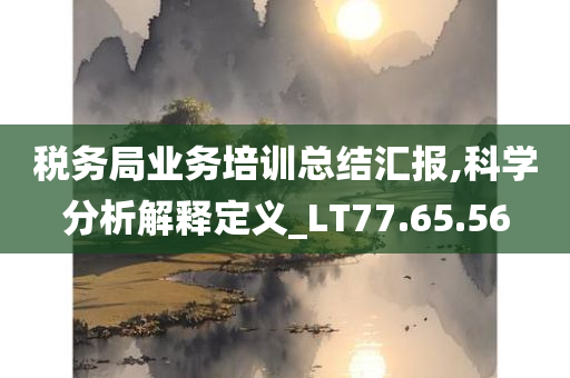 税务局业务培训总结汇报,科学分析解释定义_LT77.65.56