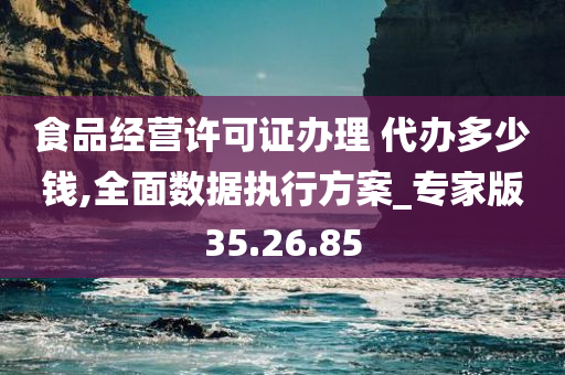 食品经营许可证办理 代办多少钱,全面数据执行方案_专家版35.26.85