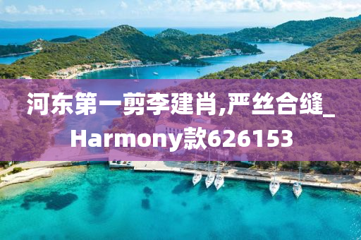 河东第一剪李建肖,严丝合缝_Harmony款626153