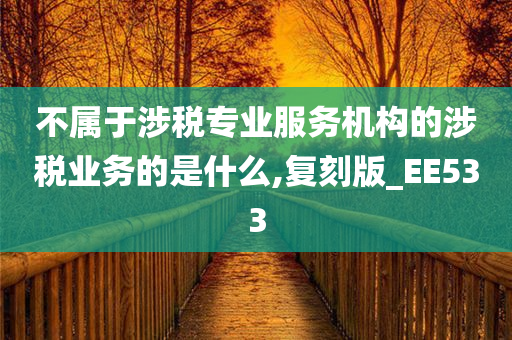 不属于涉税专业服务机构的涉税业务的是什么,复刻版_EE533