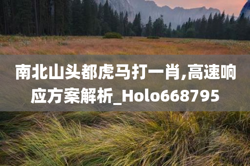 南北山头都虎马打一肖,高速响应方案解析_Holo668795