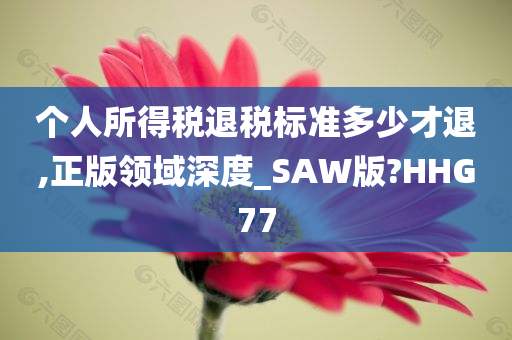 个人所得税退税标准多少才退,正版领域深度_SAW版?HHG77