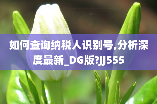 如何查询纳税人识别号,分析深度最新_DG版?JJ555