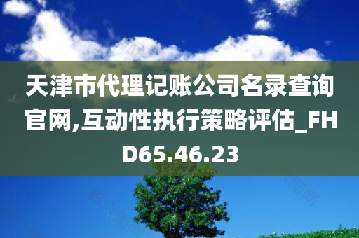 天津市代理记账公司名录查询官网,互动性执行策略评估_FHD65.46.23