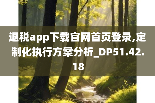 退税app下载官网首页登录,定制化执行方案分析_DP51.42.18