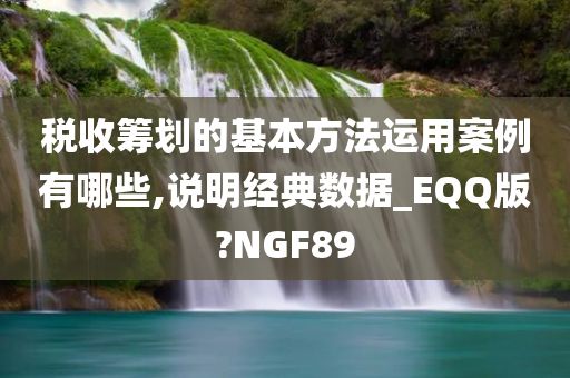 税收筹划的基本方法运用案例有哪些,说明经典数据_EQQ版?NGF89