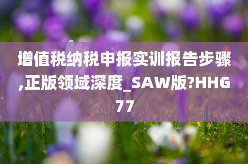 增值税纳税申报实训报告步骤,正版领域深度_SAW版?HHG77