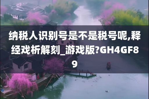 纳税人识别号是不是税号呢,释经戏析解刻_游戏版?GH4GF89