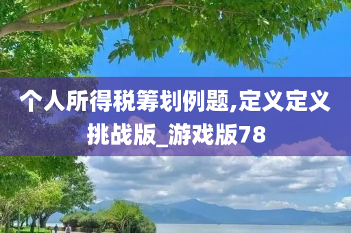 个人所得税筹划例题,定义定义挑战版_游戏版78