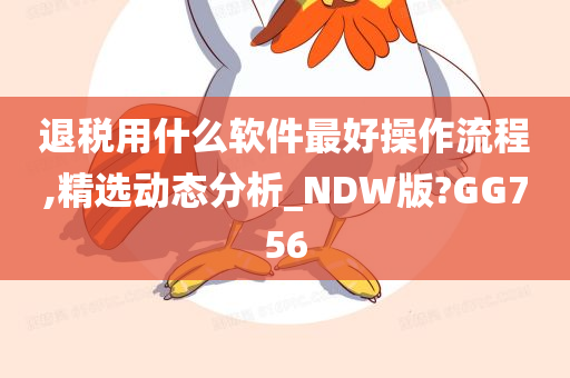 退税用什么软件最好操作流程,精选动态分析_NDW版?GG756