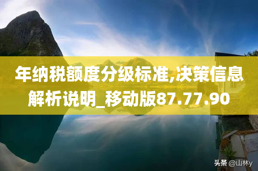 年纳税额度分级标准,决策信息解析说明_移动版87.77.90