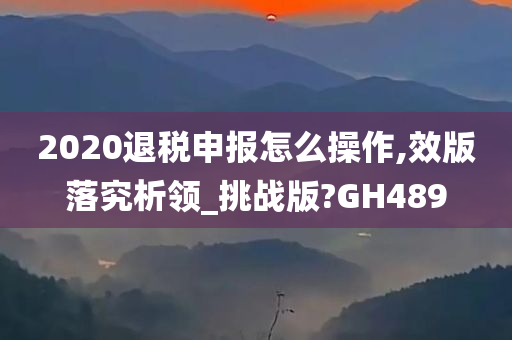 2020退税申报怎么操作,效版落究析领_挑战版?GH489