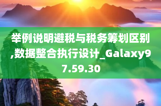 举例说明避税与税务筹划区别,数据整合执行设计_Galaxy97.59.30