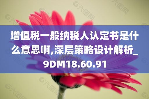 增值税一般纳税人认定书是什么意思啊,深层策略设计解析_9DM18.60.91