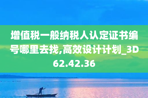 增值税一般纳税人认定证书编号哪里去找,高效设计计划_3D62.42.36