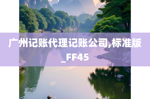 广州记账代理记账公司,标准版_FF45