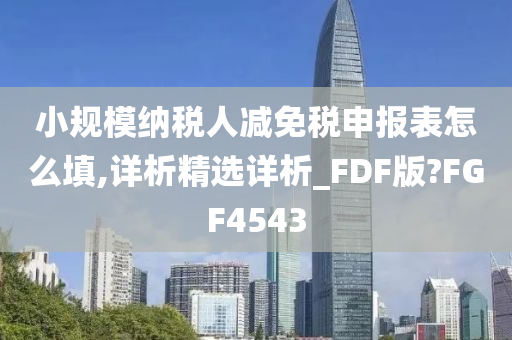 小规模纳税人减免税申报表怎么填,详析精选详析_FDF版?FGF4543