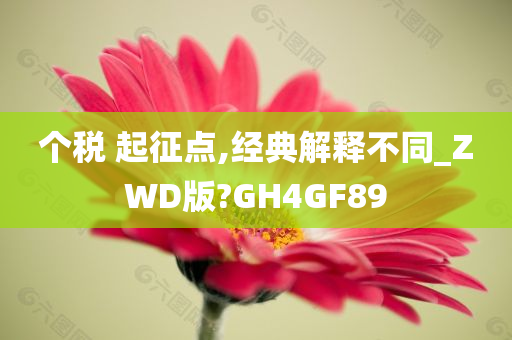 个税 起征点,经典解释不同_ZWD版?GH4GF89