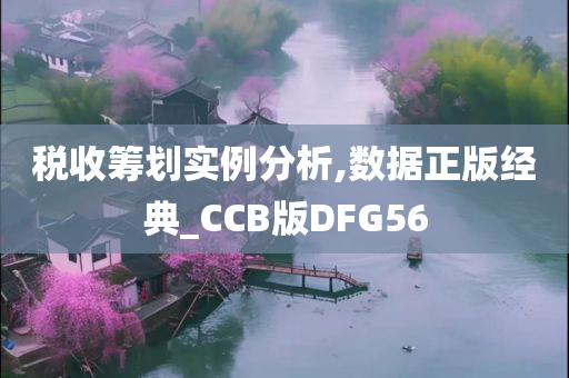 税收筹划实例分析,数据正版经典_CCB版DFG56