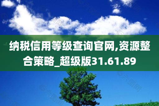 纳税信用等级查询官网,资源整合策略_超级版31.61.89