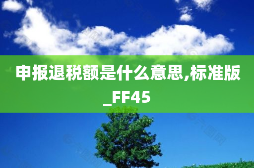 申报退税额是什么意思,标准版_FF45