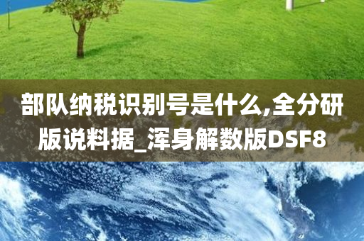 部队纳税识别号是什么,全分研版说料据_浑身解数版DSF8