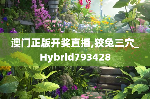 澳门正版开奖直播,狡兔三穴_Hybrid793428