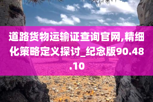 道路货物运输证查询官网,精细化策略定义探讨_纪念版90.48.10