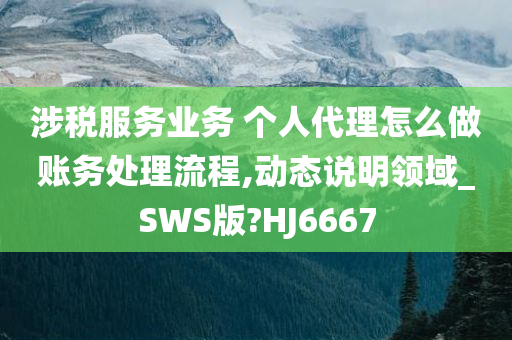 涉税服务业务 个人代理怎么做账务处理流程,动态说明领域_SWS版?HJ6667