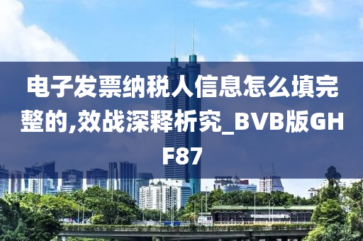 电子发票纳税人信息怎么填完整的,效战深释析究_BVB版GHF87