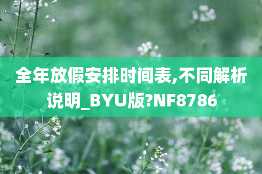 全年放假安排时间表,不同解析说明_BYU版?NF8786