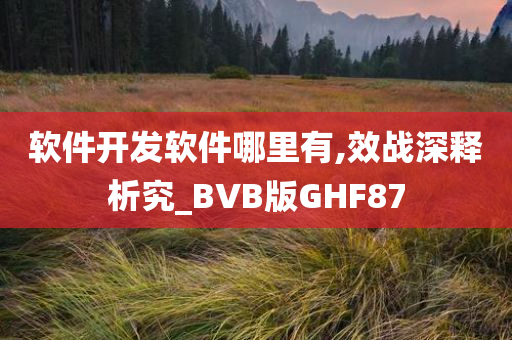 软件开发软件哪里有,效战深释析究_BVB版GHF87